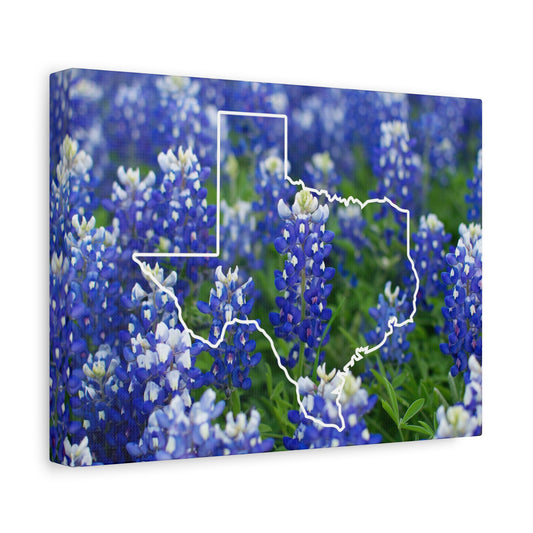 Texas and Beautiful Bluebonnets Matte Canvas Wall Art