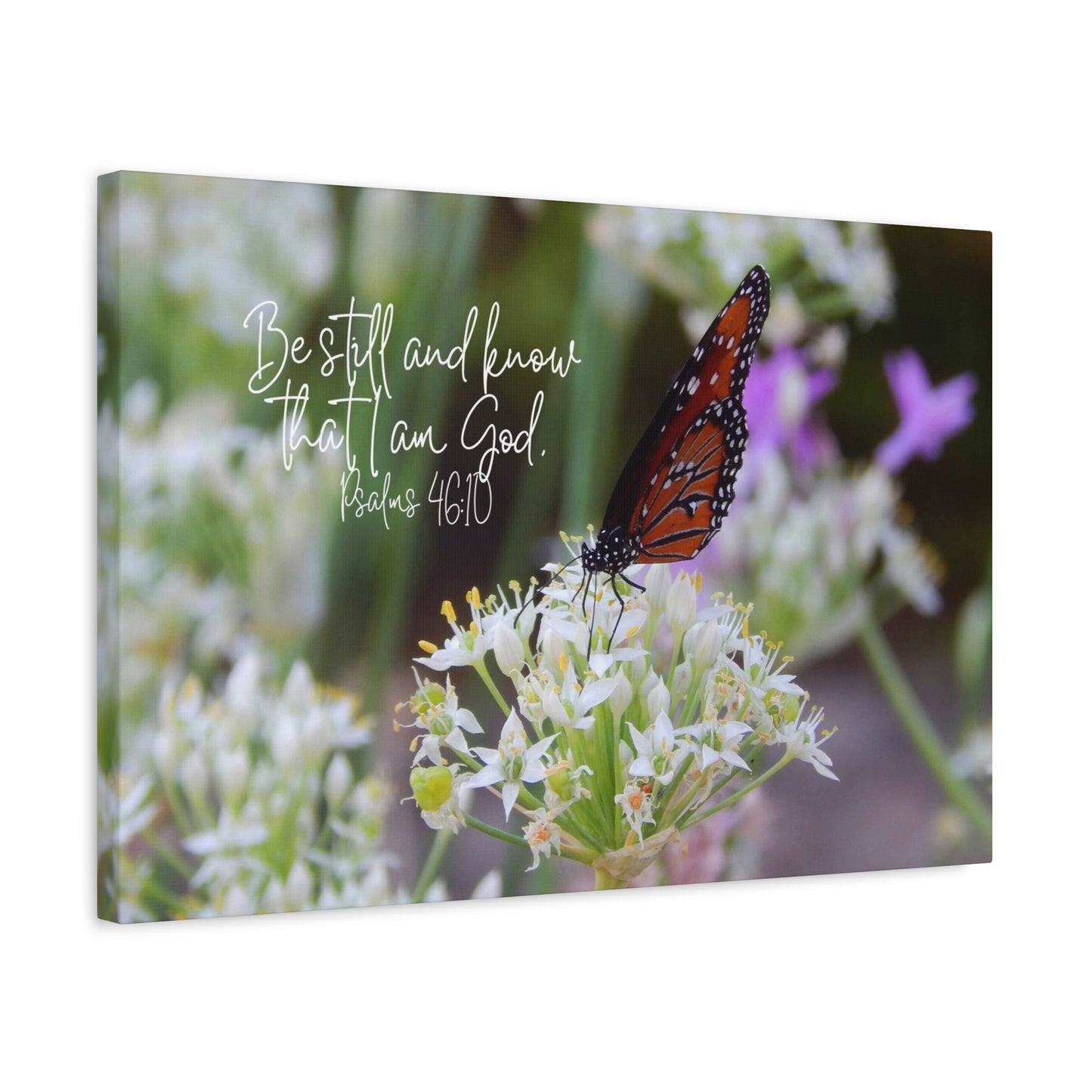 Be Still And Know That I Am God Monarch Butterfly on Flower Matte Canvas Wall Art