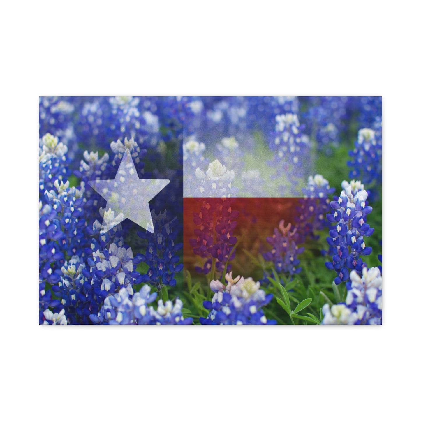 Bluebonnets with Faded Texas Flag Wall Art Matte Canvas Print