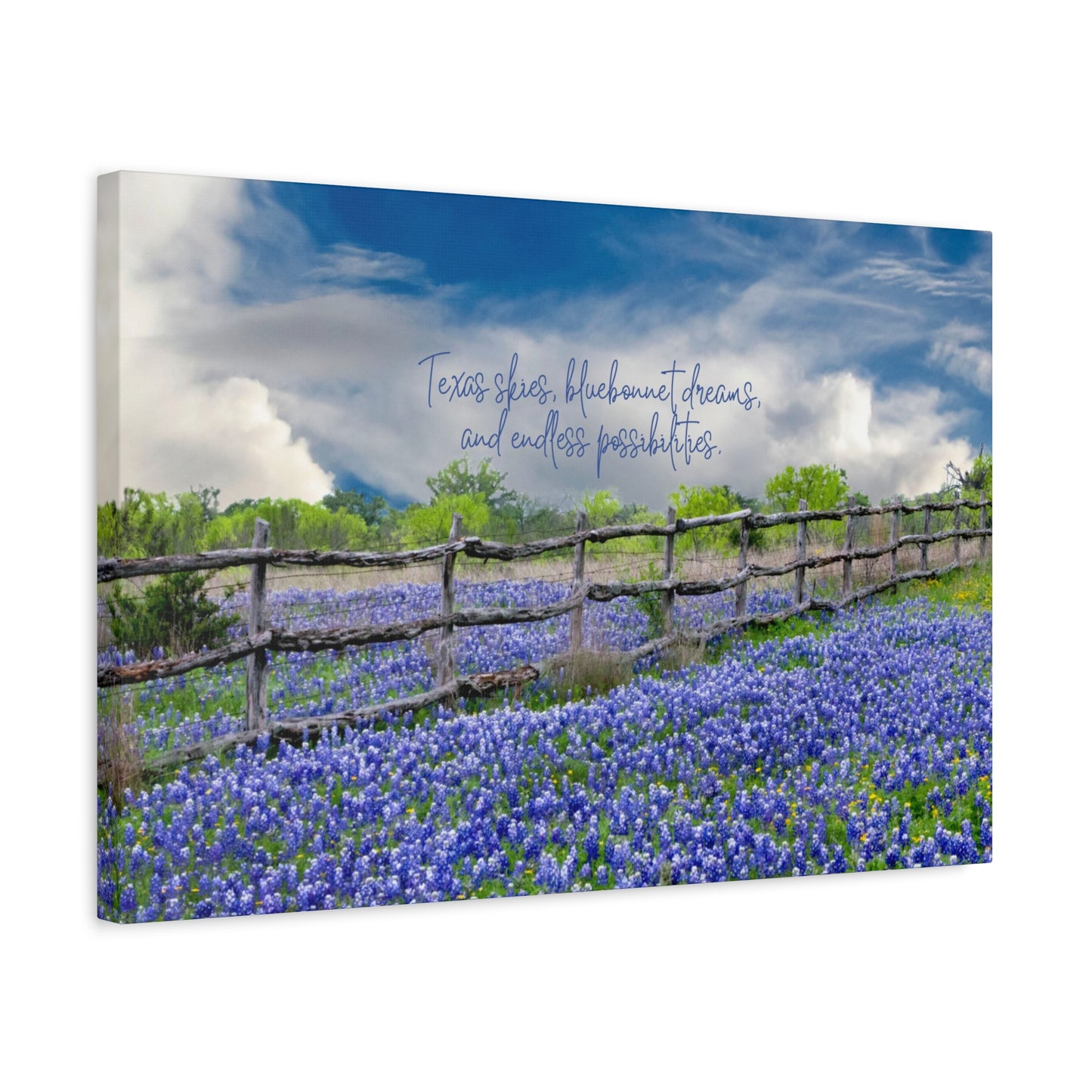 Texas Skies Bluebonnet Dreams and Endless Possibilities - Canvas Matte Wall Art