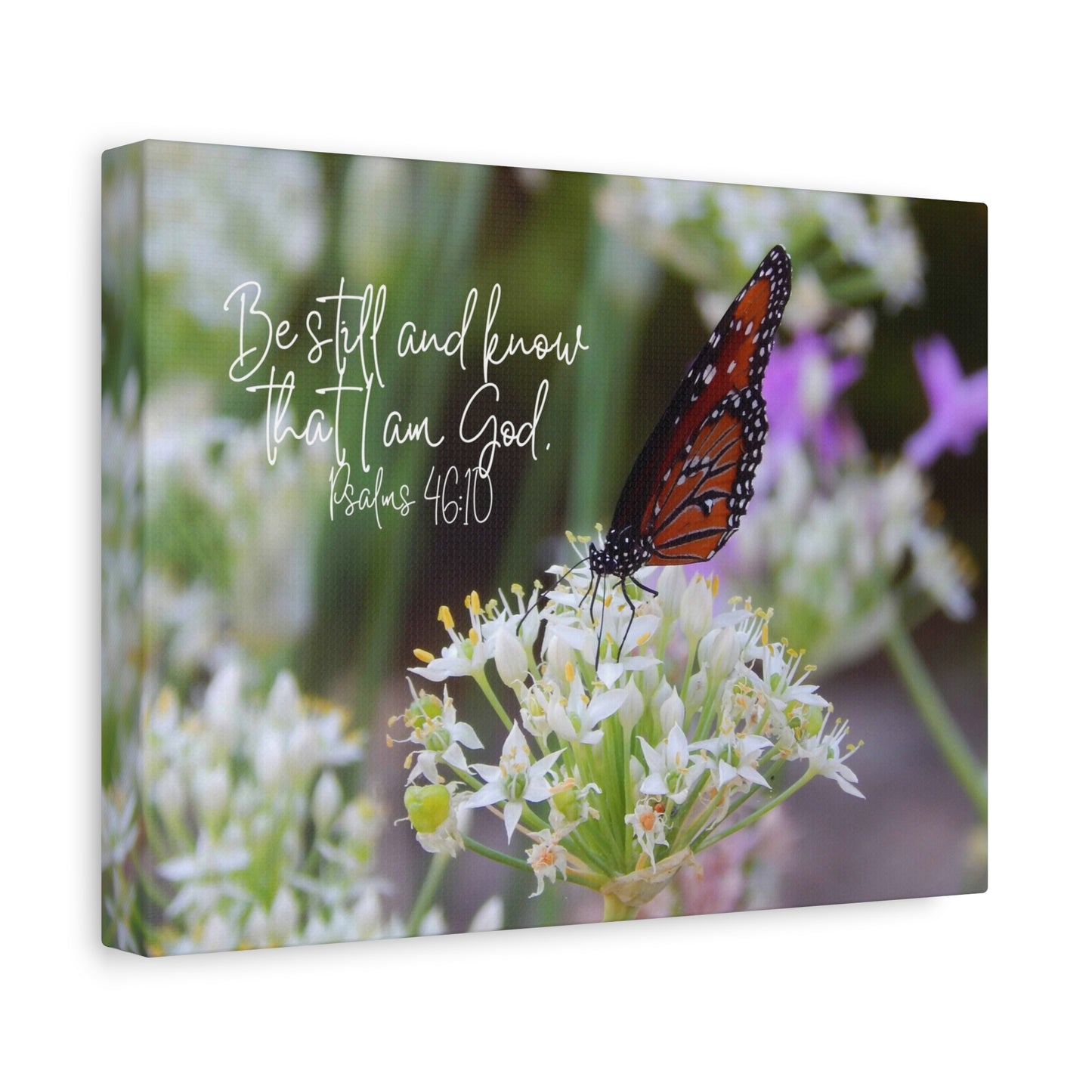 Be Still And Know That I Am God Monarch Butterfly on Flower Matte Canvas Wall Art