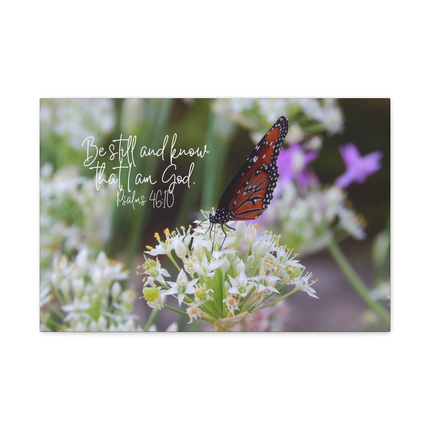 Be Still And Know That I Am God Monarch Butterfly on Flower Matte Canvas Wall Art