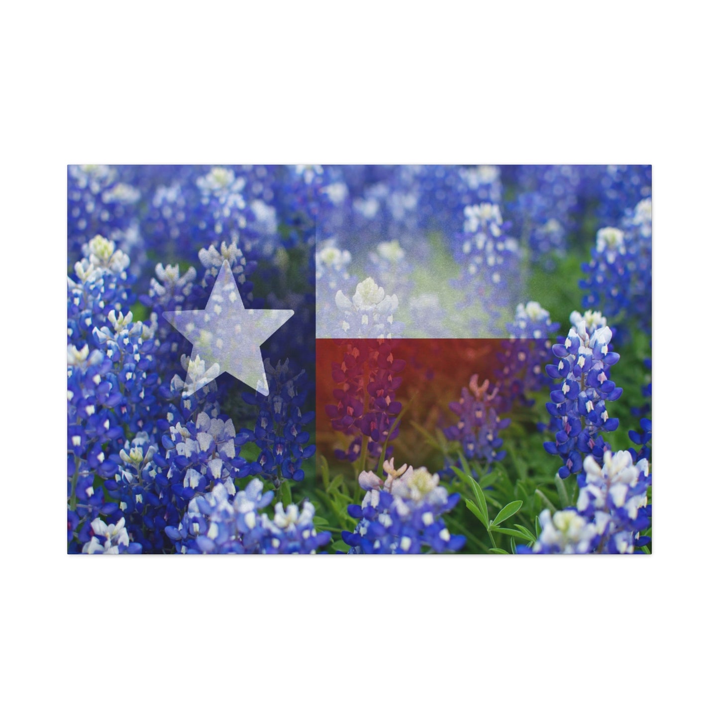 Bluebonnets with Faded Texas Flag Wall Art Matte Canvas Print