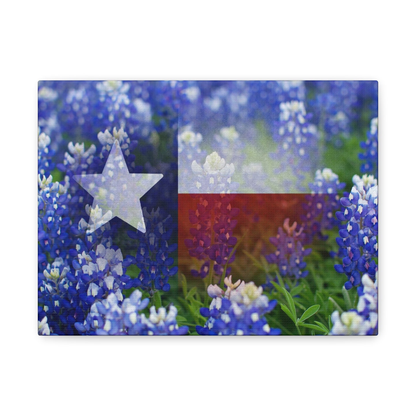 Bluebonnets with Faded Texas Flag Wall Art Matte Canvas Print