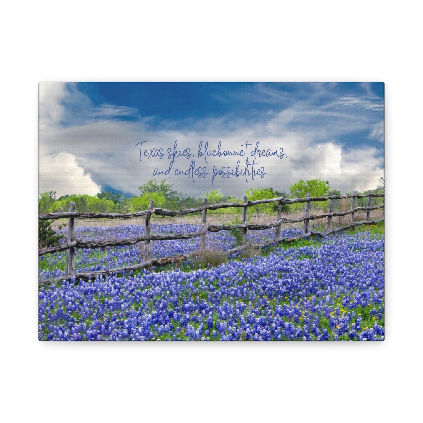 Texas Skies Bluebonnet Dreams and Endless Possibilities - Canvas Matte Wall Art