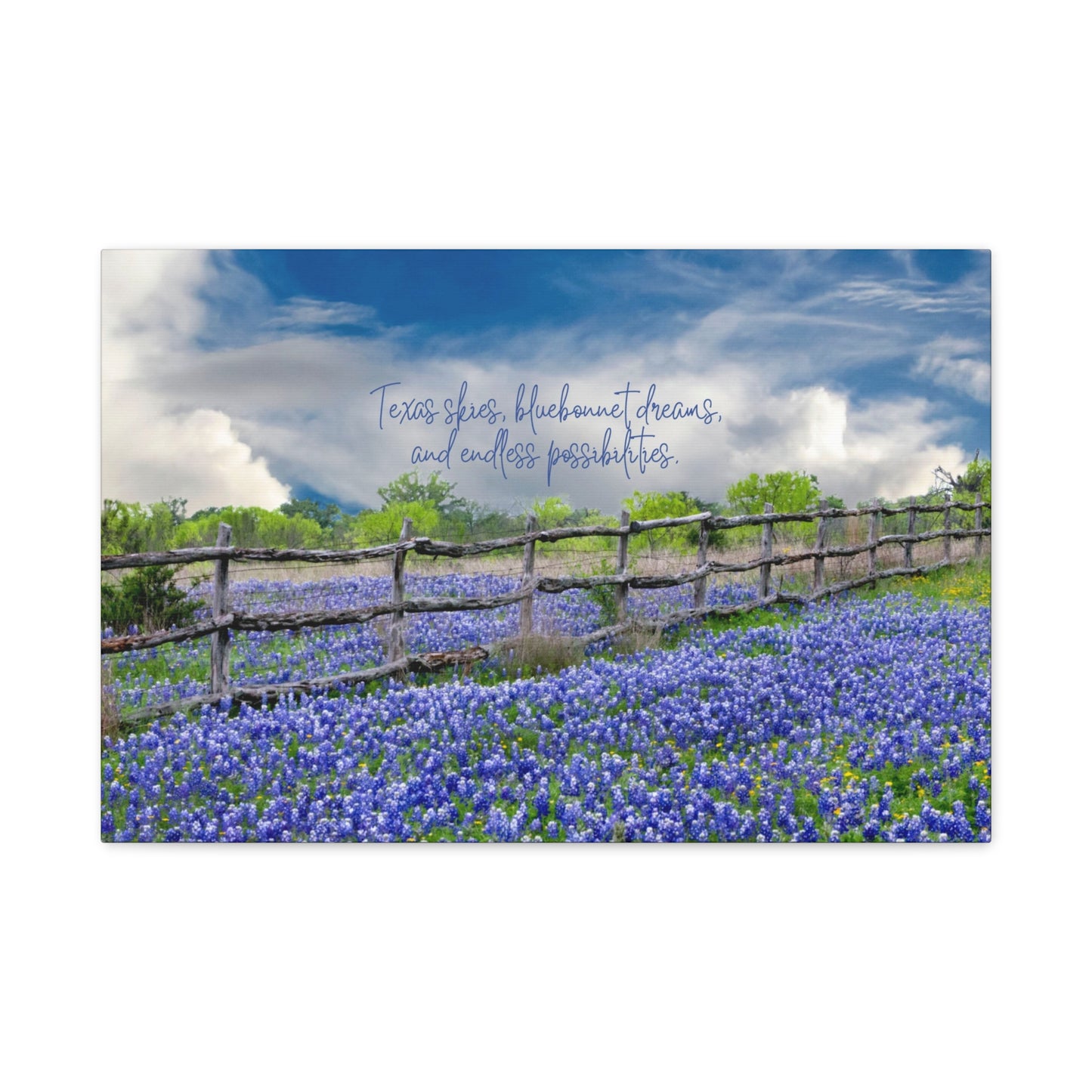 Texas Skies Bluebonnet Dreams and Endless Possibilities - Canvas Matte Wall Art