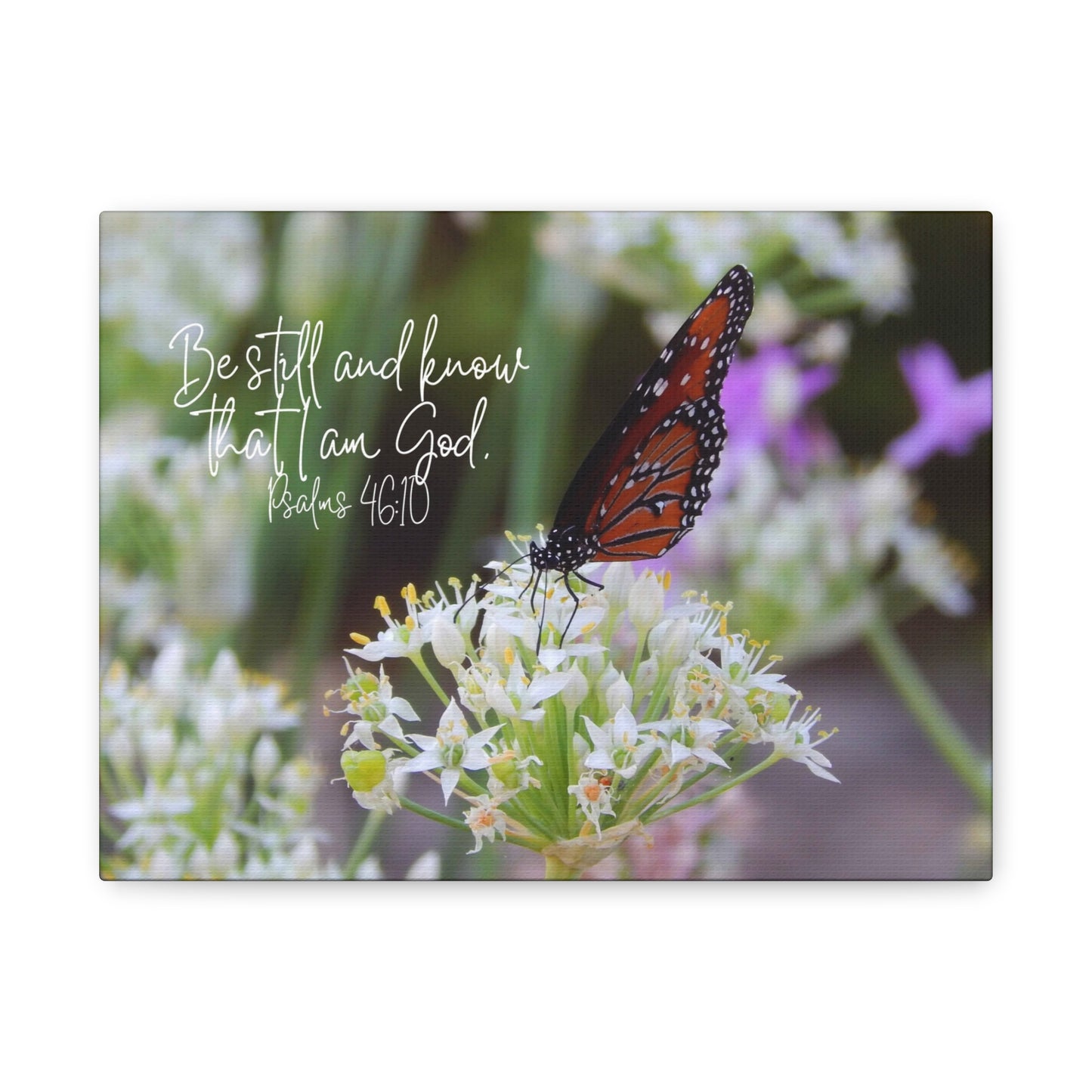 Be Still And Know That I Am God Monarch Butterfly on Flower Matte Canvas Wall Art