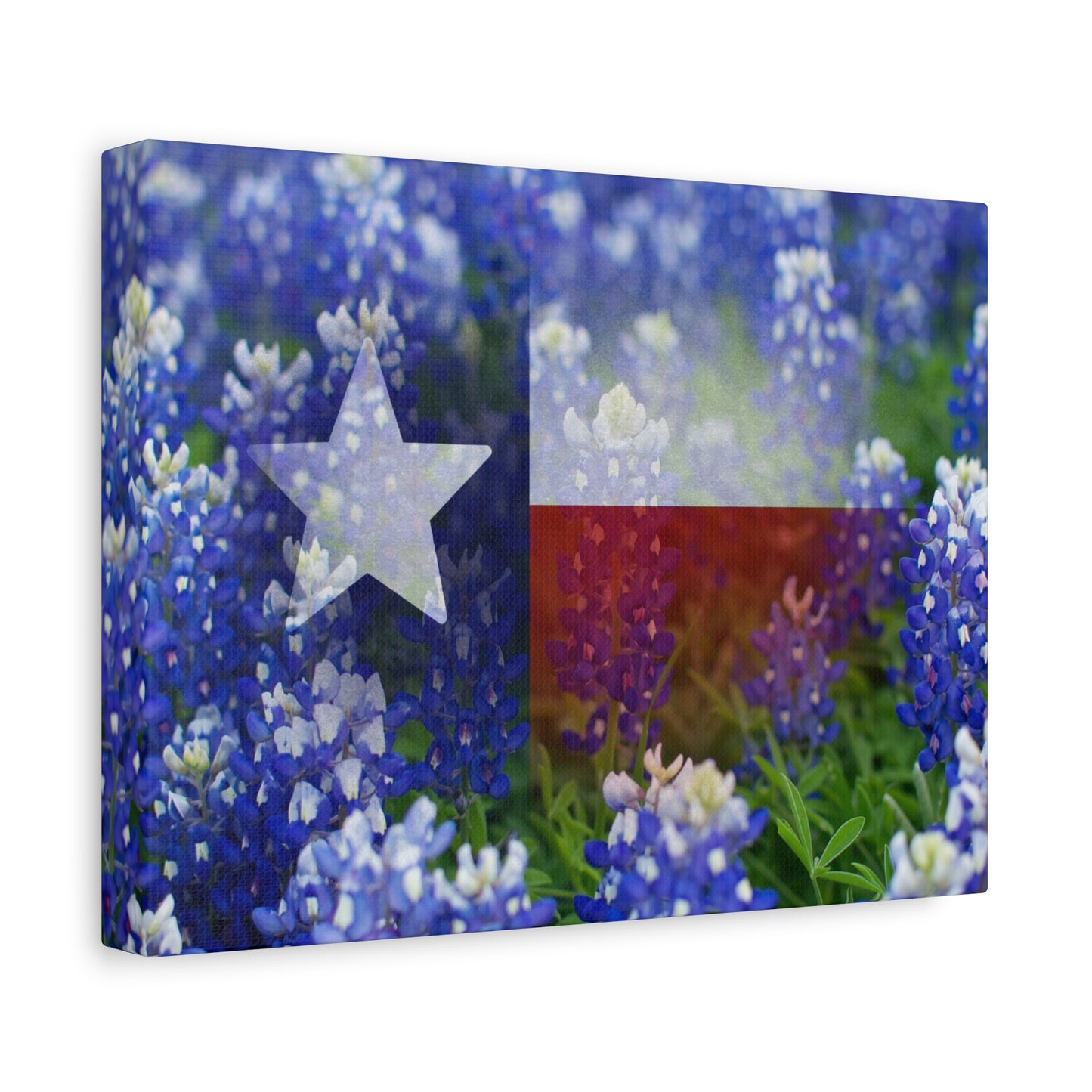 Bluebonnets with Faded Texas Flag Wall Art Matte Canvas Print