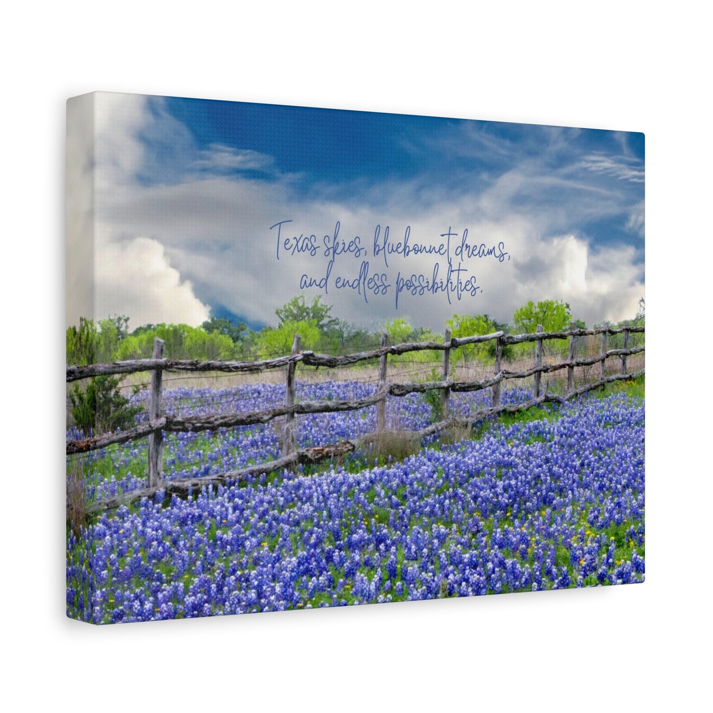 Texas Skies Bluebonnet Dreams and Endless Possibilities - Canvas Matte Wall Art